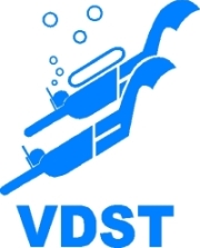 Logo VDST